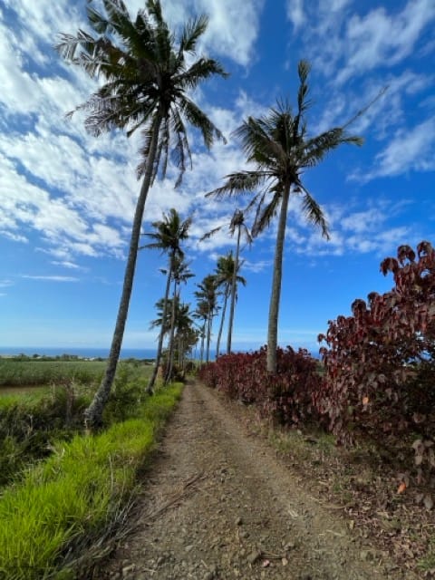 La Réunion